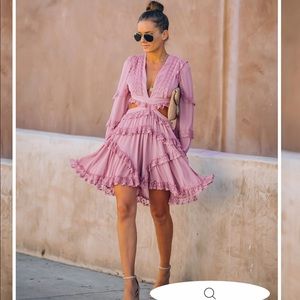 Lace Cutout Dress NWT Vici Collection